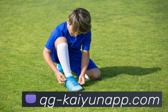 开云体育APP 高清赛事图